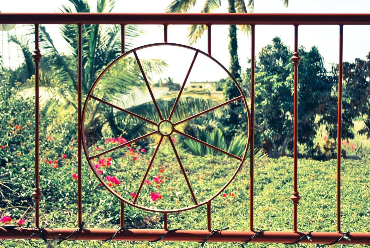 Hacienda De Palmas Bed & Breakfast La Ribera Ngoại thất bức ảnh