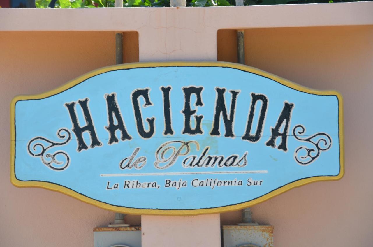 Hacienda De Palmas Bed & Breakfast La Ribera Ngoại thất bức ảnh